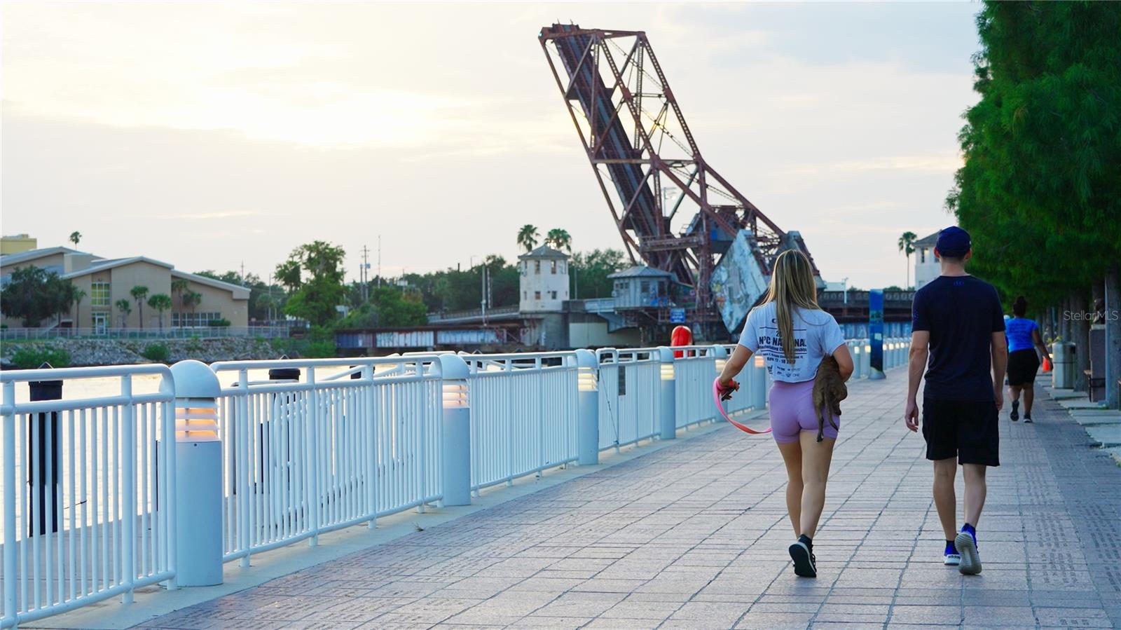 Image 38 of 41 For 201 Laurel Street 712