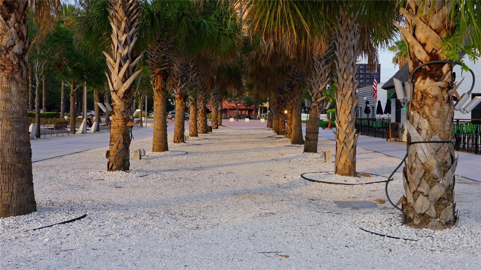 Image 39 of 60 For 201 Laurel Street 701