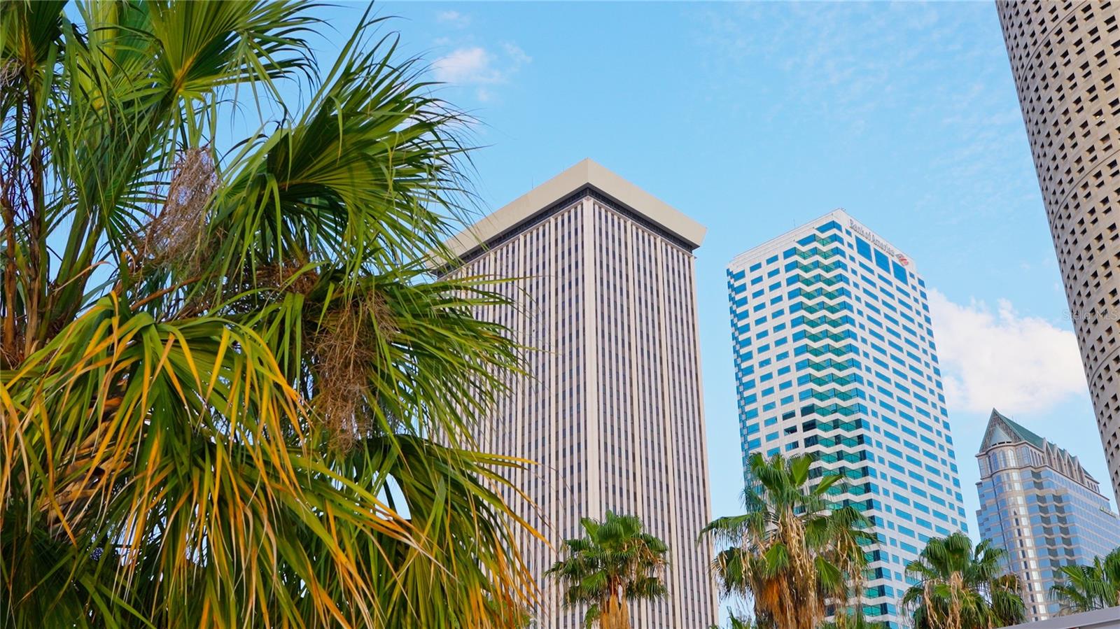 Image 40 of 60 For 201 Laurel Street 701