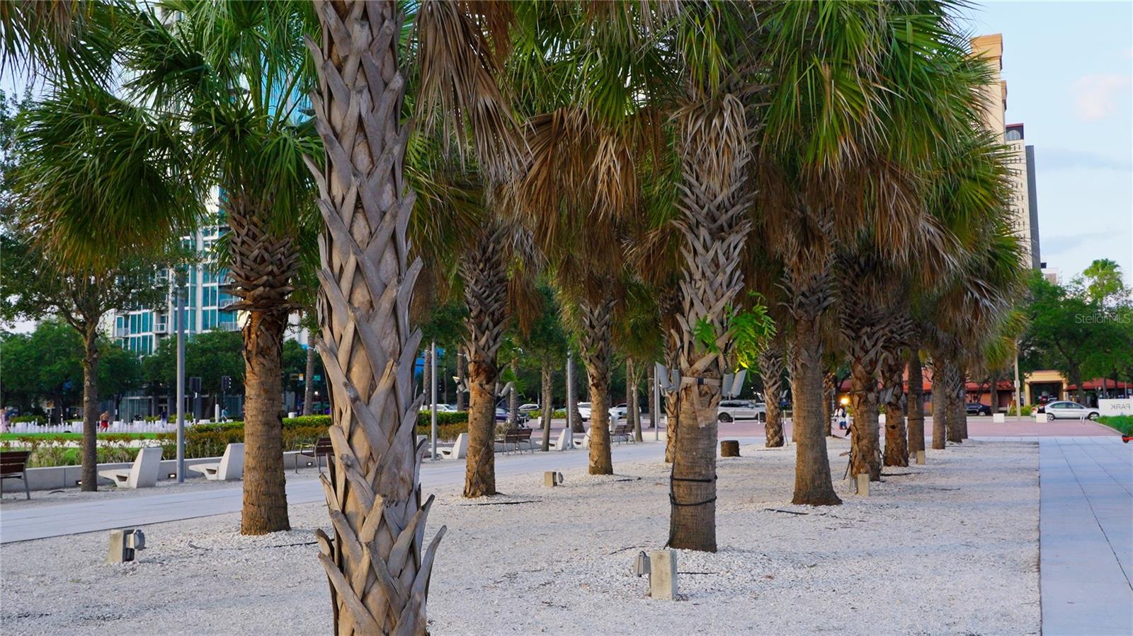 Image 41 of 60 For 201 Laurel Street 701