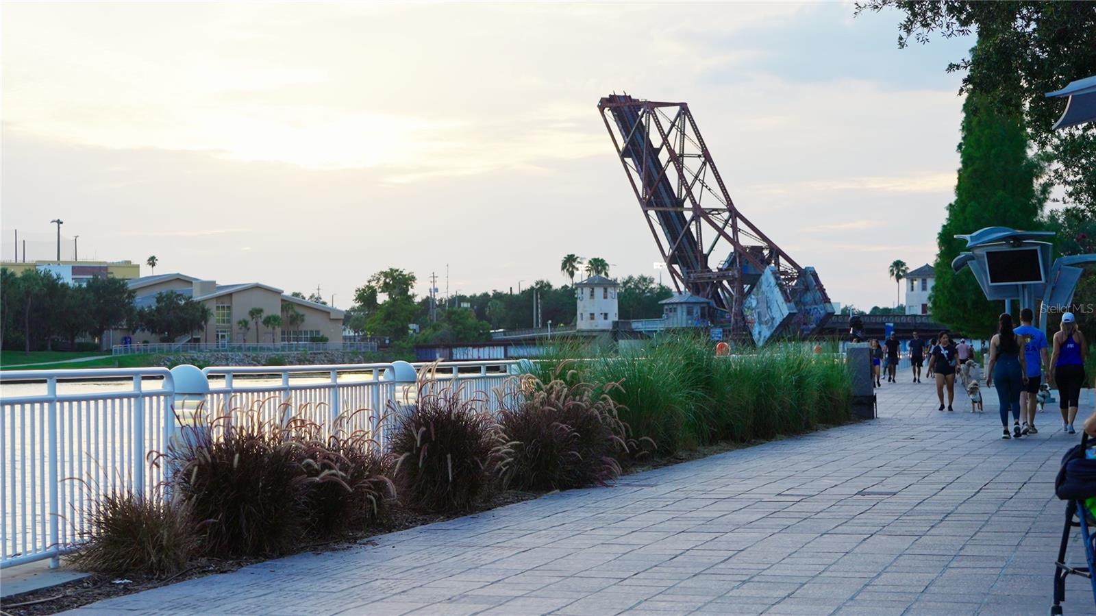 Image 46 of 60 For 201 Laurel Street 701