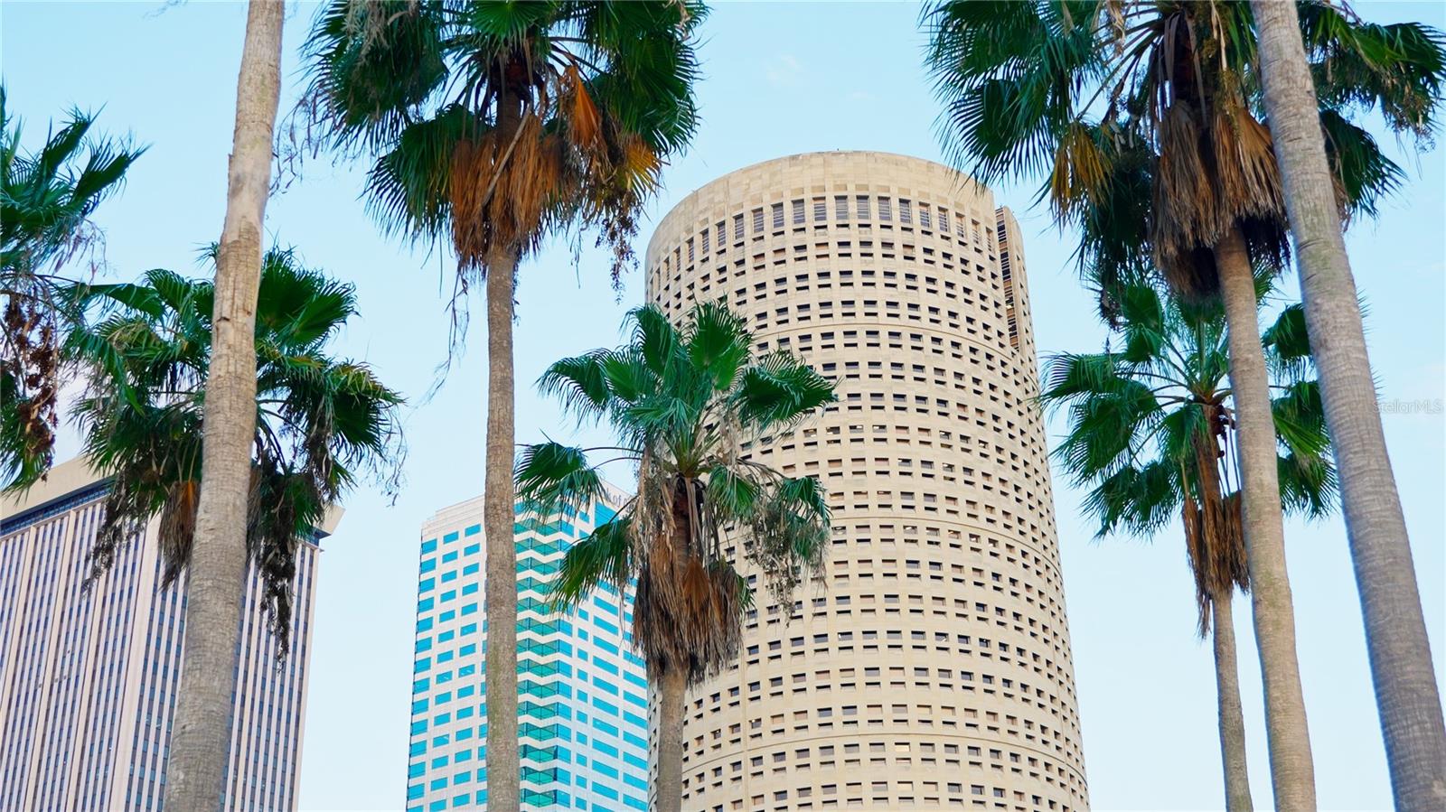 Image 49 of 60 For 201 Laurel Street 701