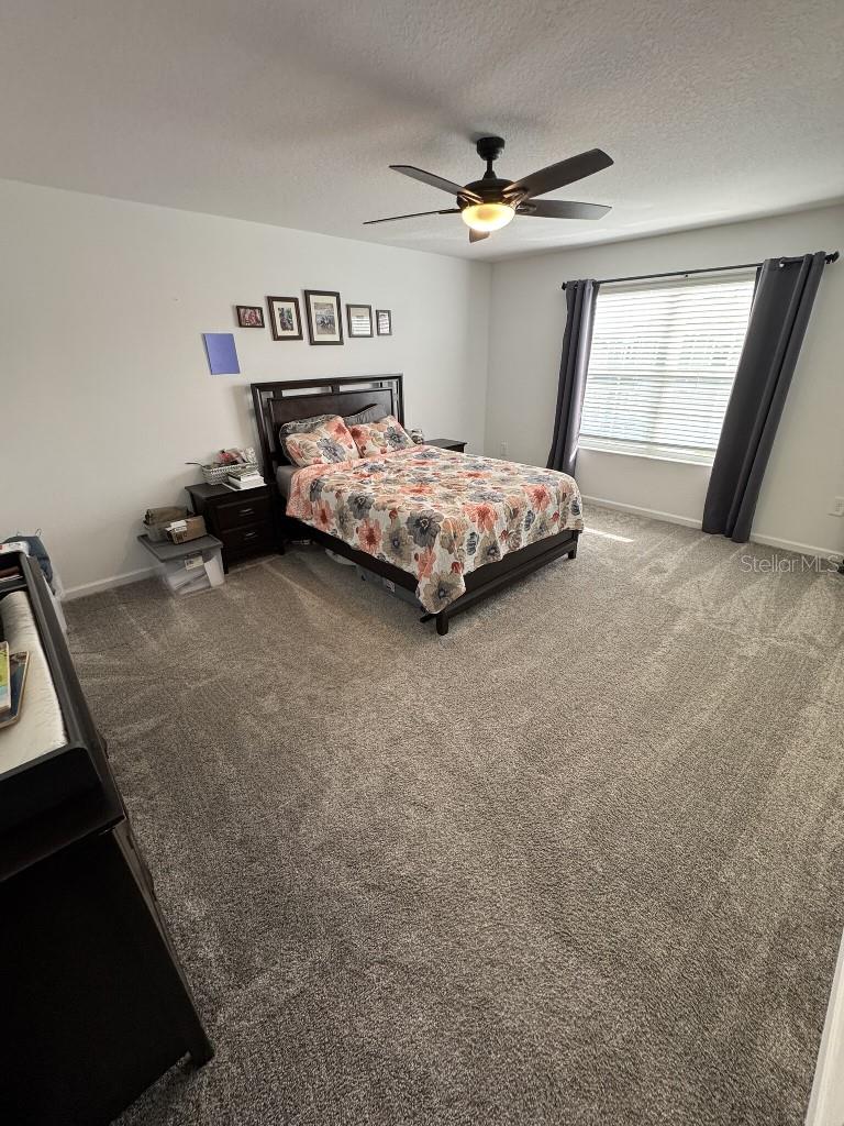 Image 16 of 26 For 5511 Braken Fern Way