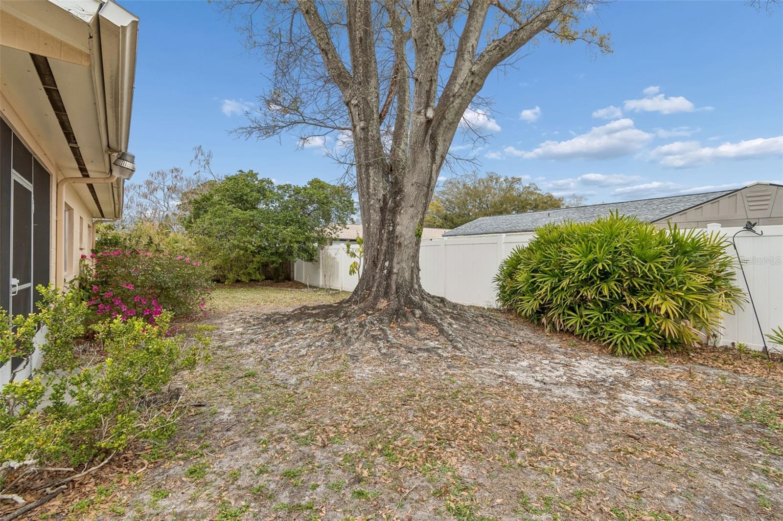 Image 38 of 74 For 4801 Ridge Point Drive