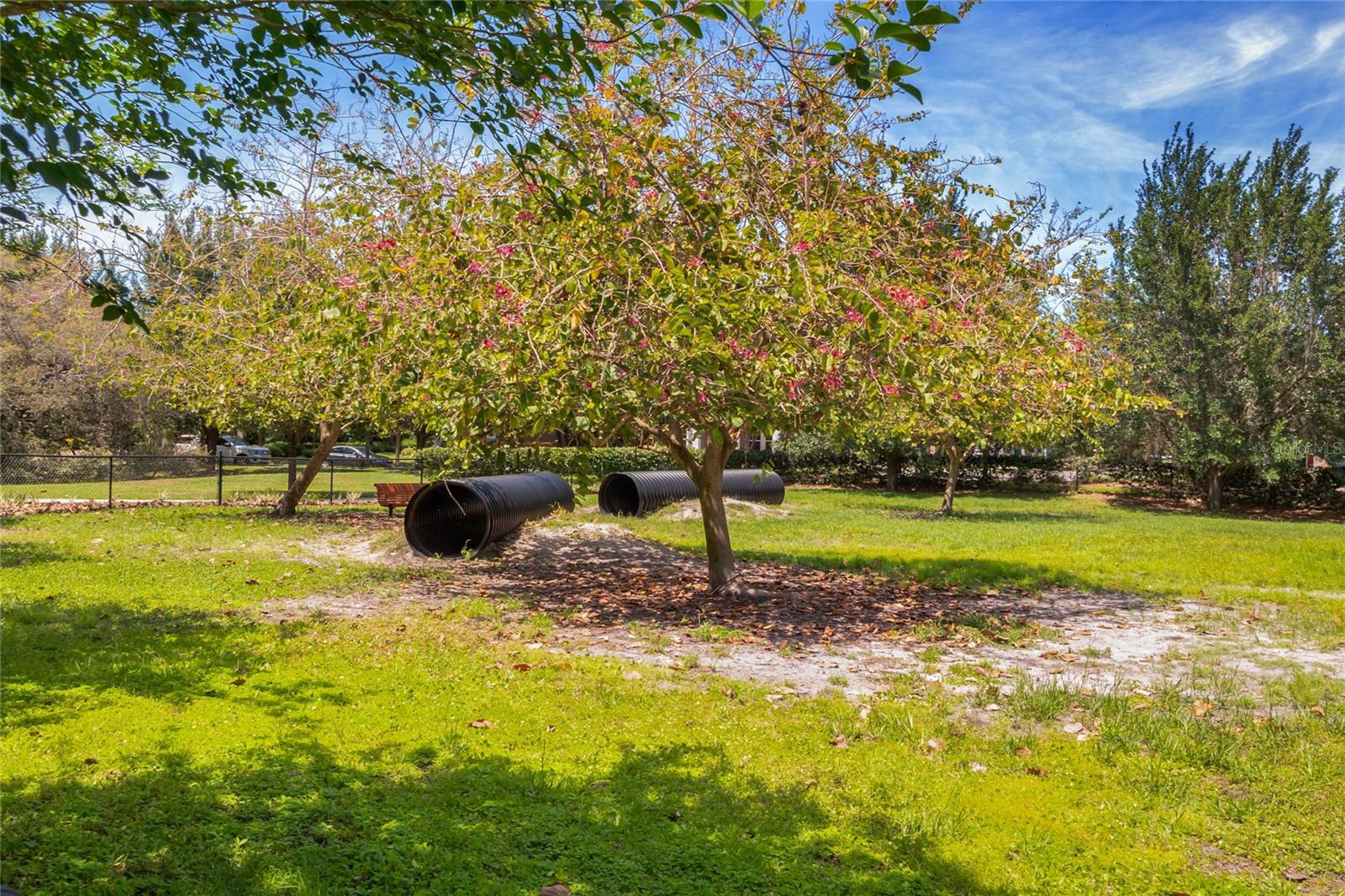 Image 31 of 34 For 5870 Fishhawk Ridge Drive