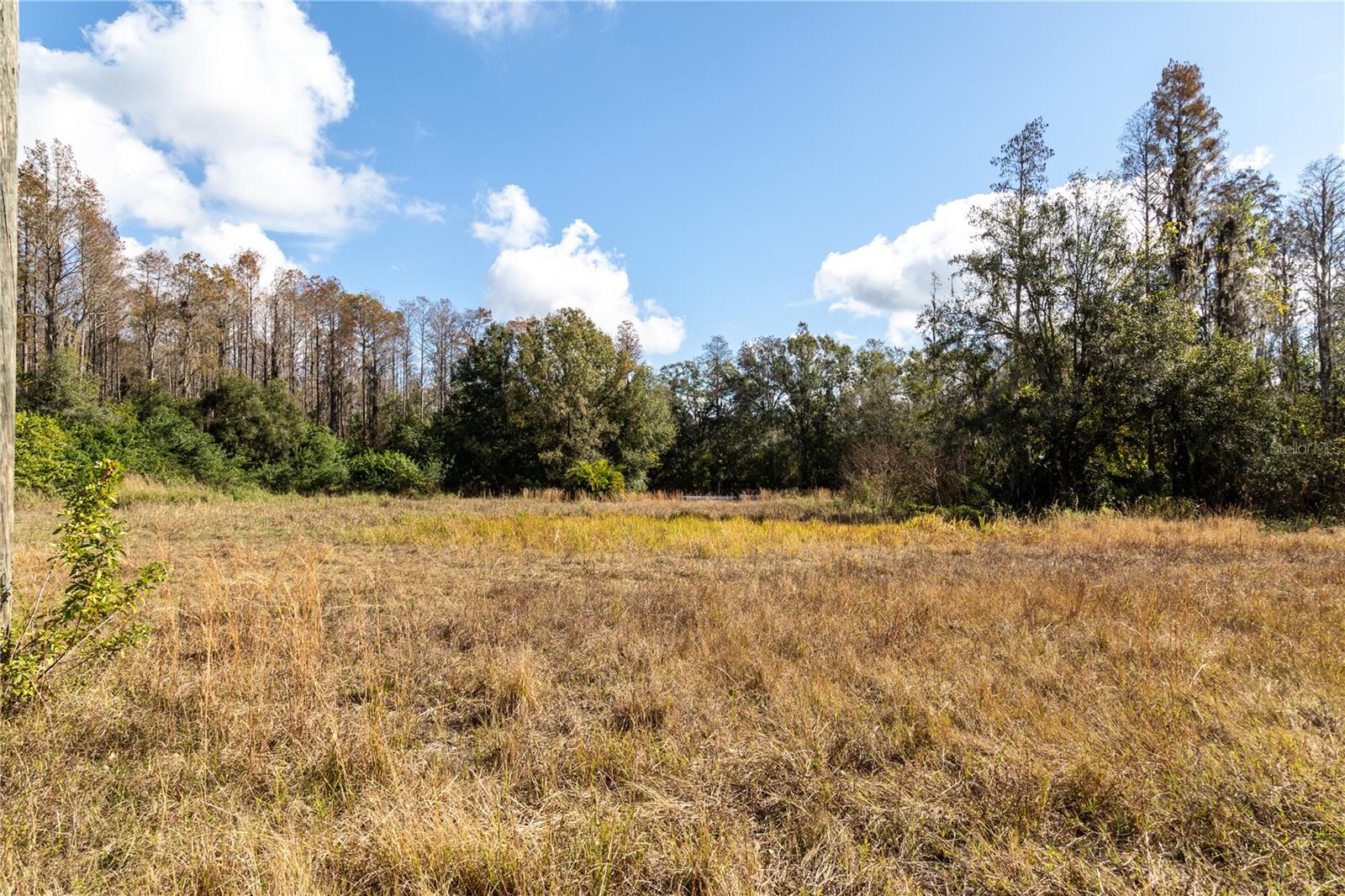 Listing photo id 9 for 11560 Tarpon Springs