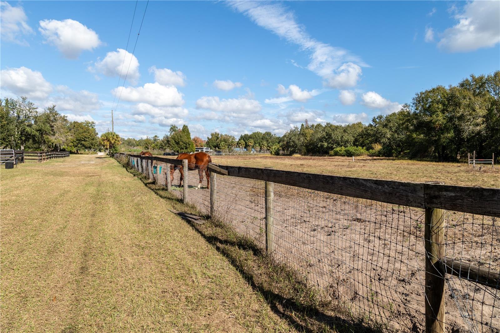 Listing photo id 12 for 11560 Tarpon Springs