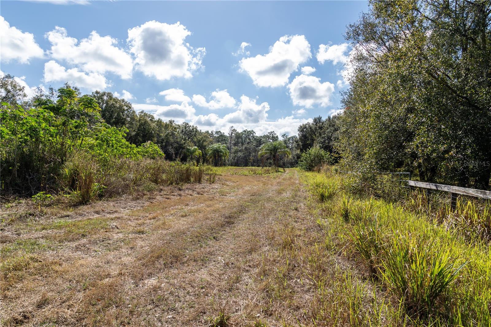 Listing photo id 7 for 11560 Tarpon Springs