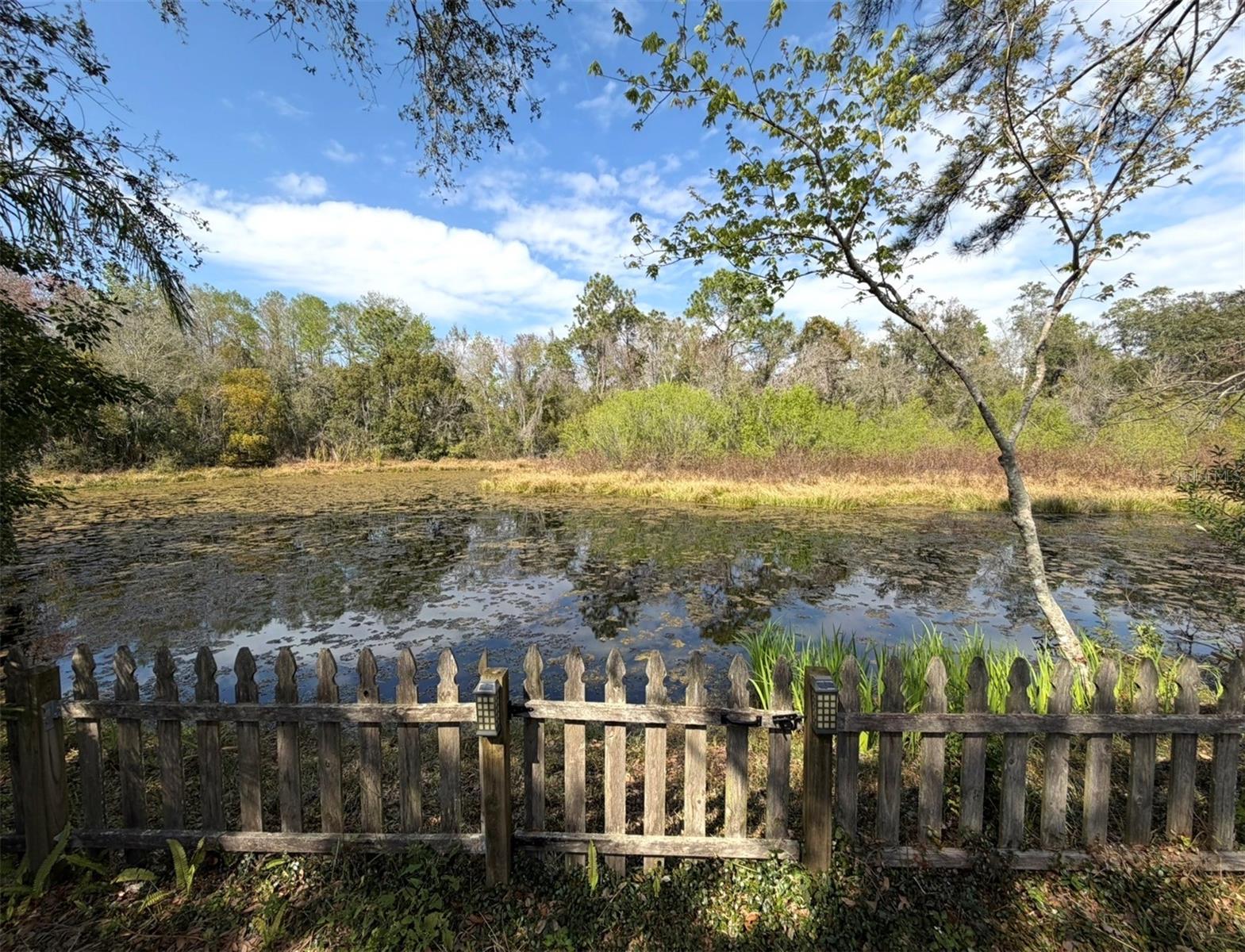 Listing photo id 15 for 12824 Dunhill Drive