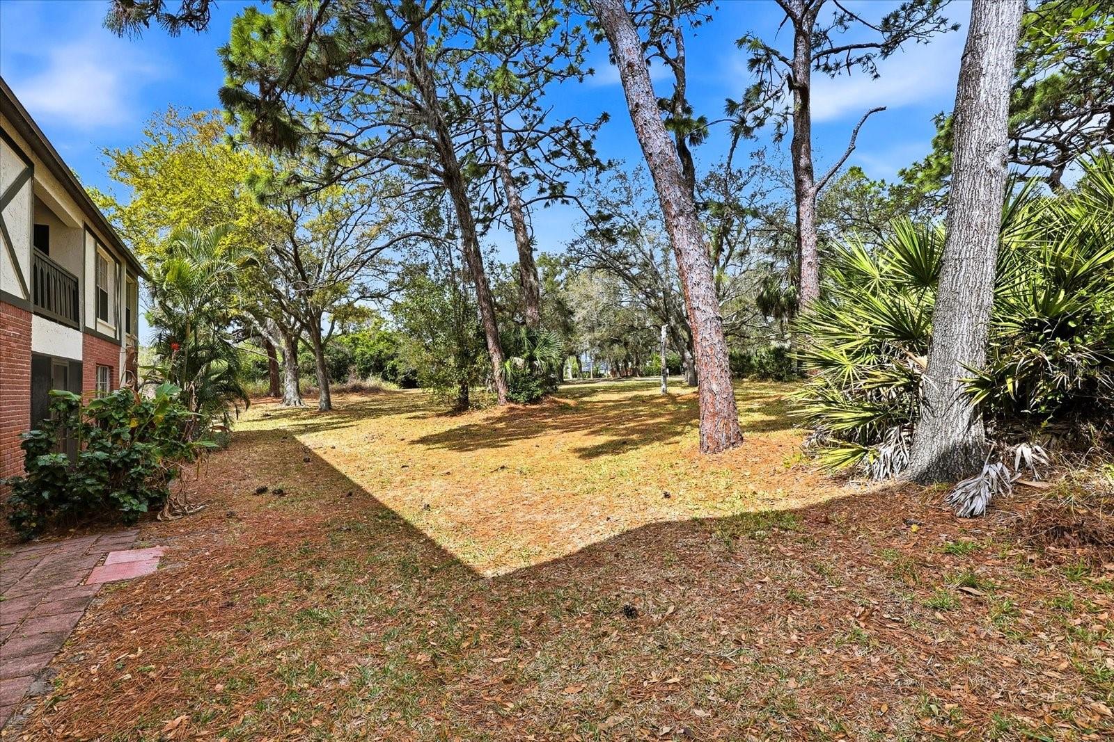 Image 30 of 35 For 380 Bayshore Boulevard 203