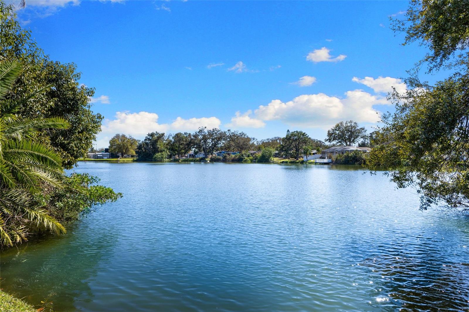 Listing photo id 46 for 10274 Blossom Trail