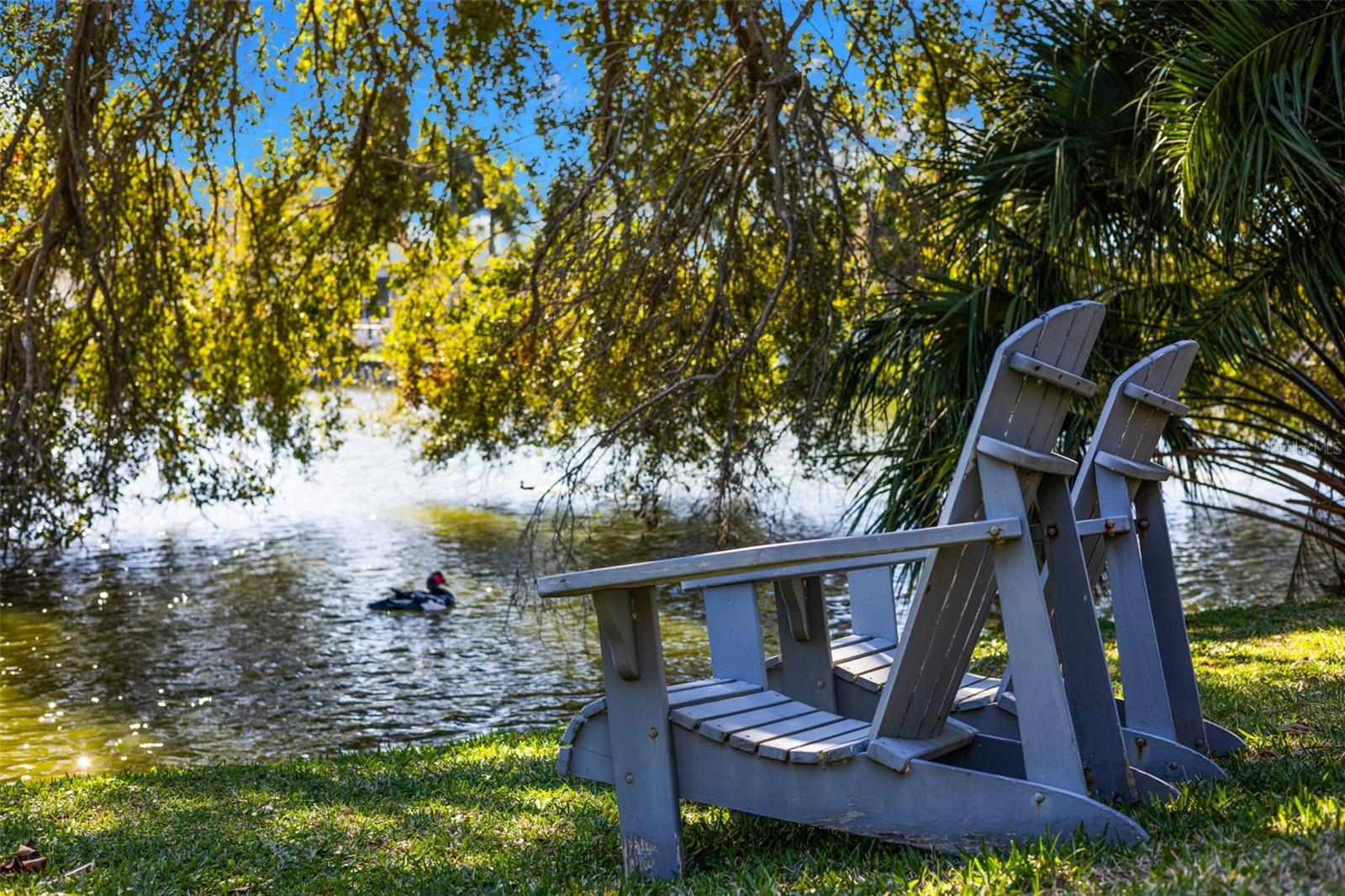 Listing photo id 52 for 10274 Blossom Trail