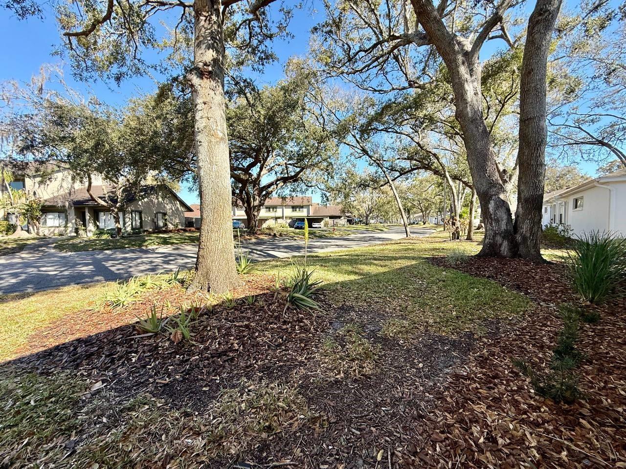 Image 30 of 31 For 8530 Alexandra Arbor Lane