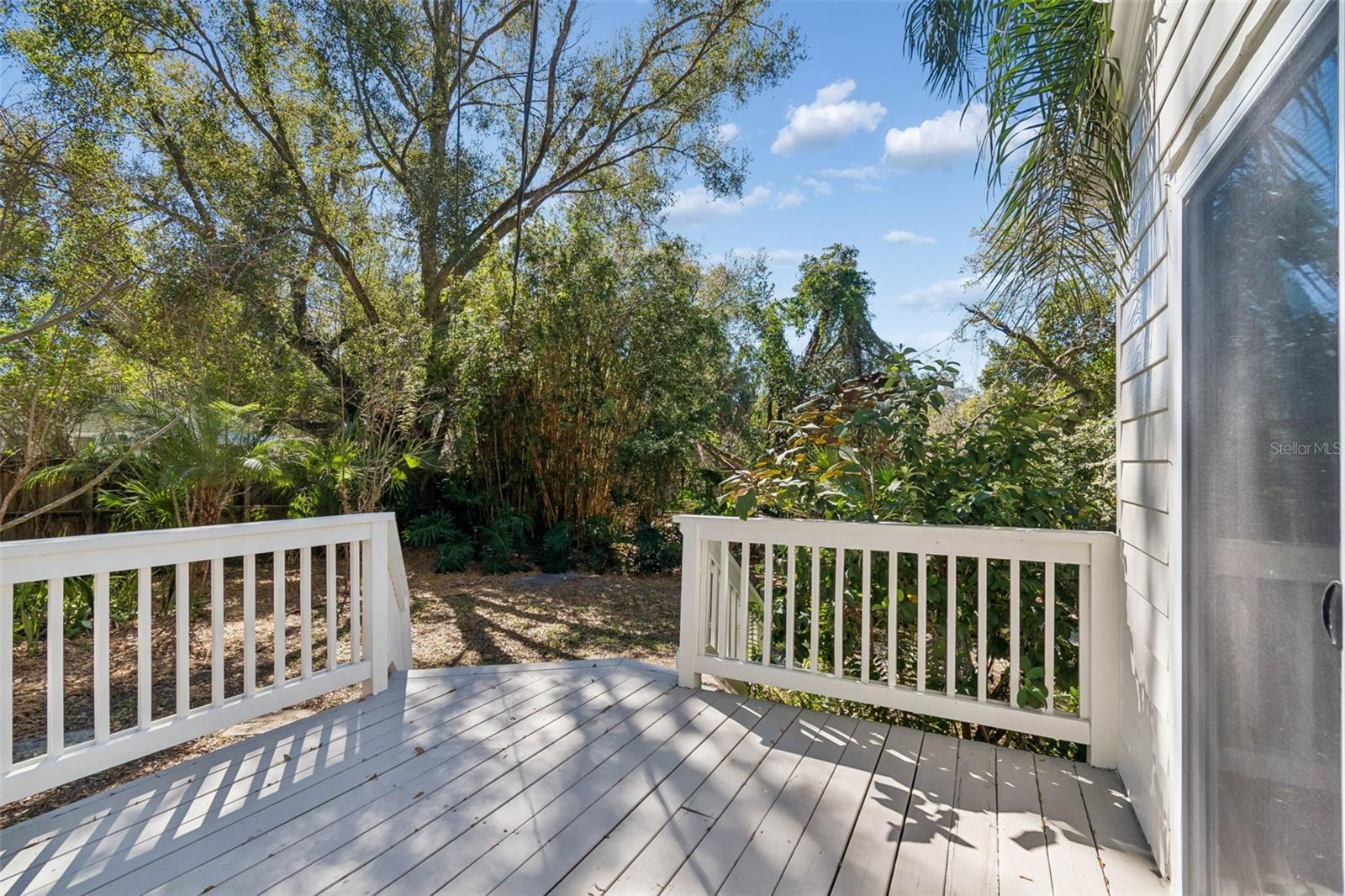 Listing photo id 25 for 1003 Clifton Street