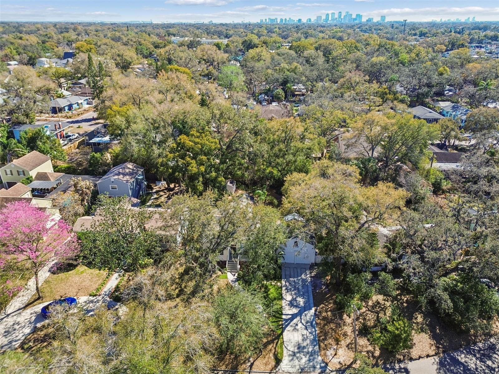 Listing photo id 32 for 1003 Clifton Street