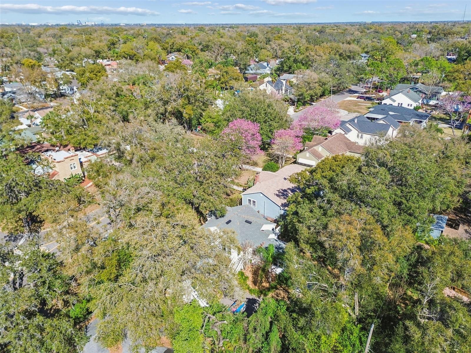 Listing photo id 34 for 1003 Clifton Street