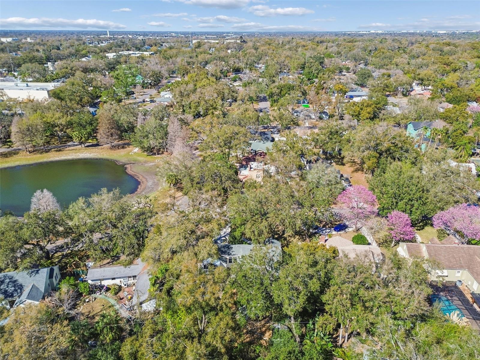 Listing photo id 35 for 1003 Clifton Street