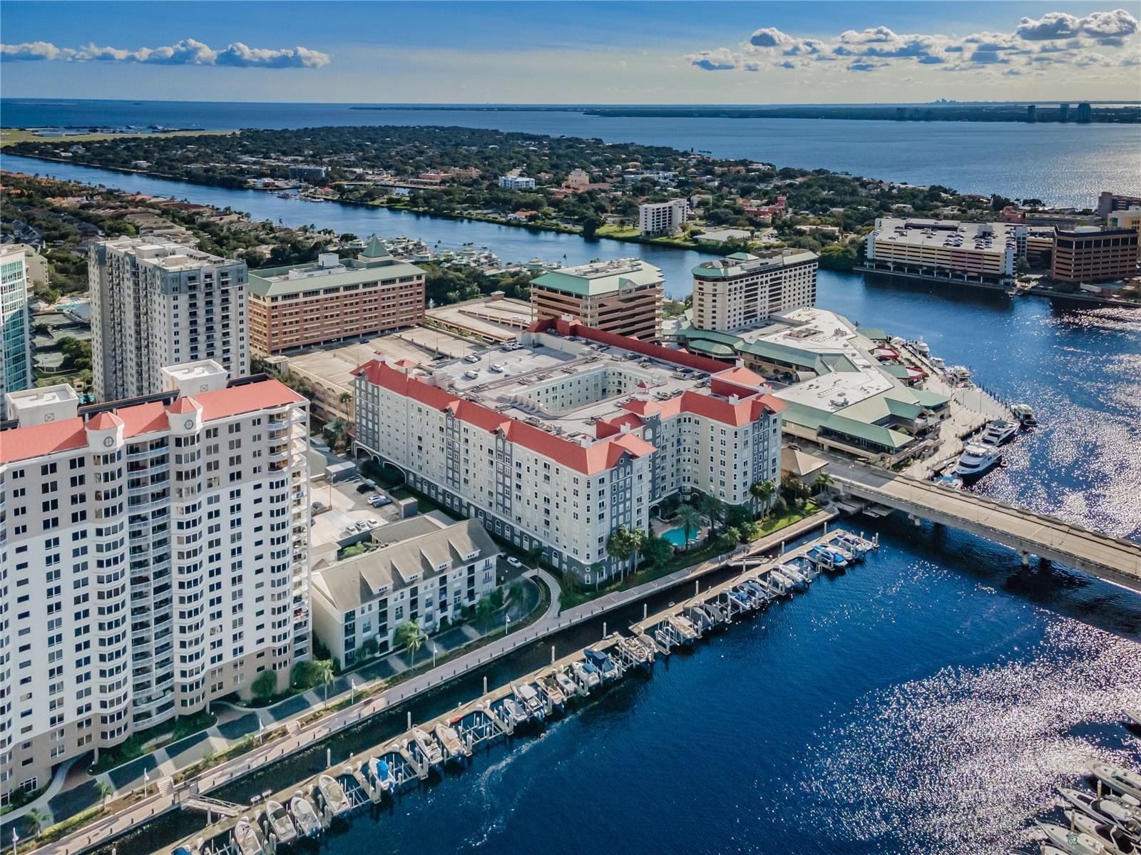 Image 53 of 56 For 700 Harbour Island Boulevard 401