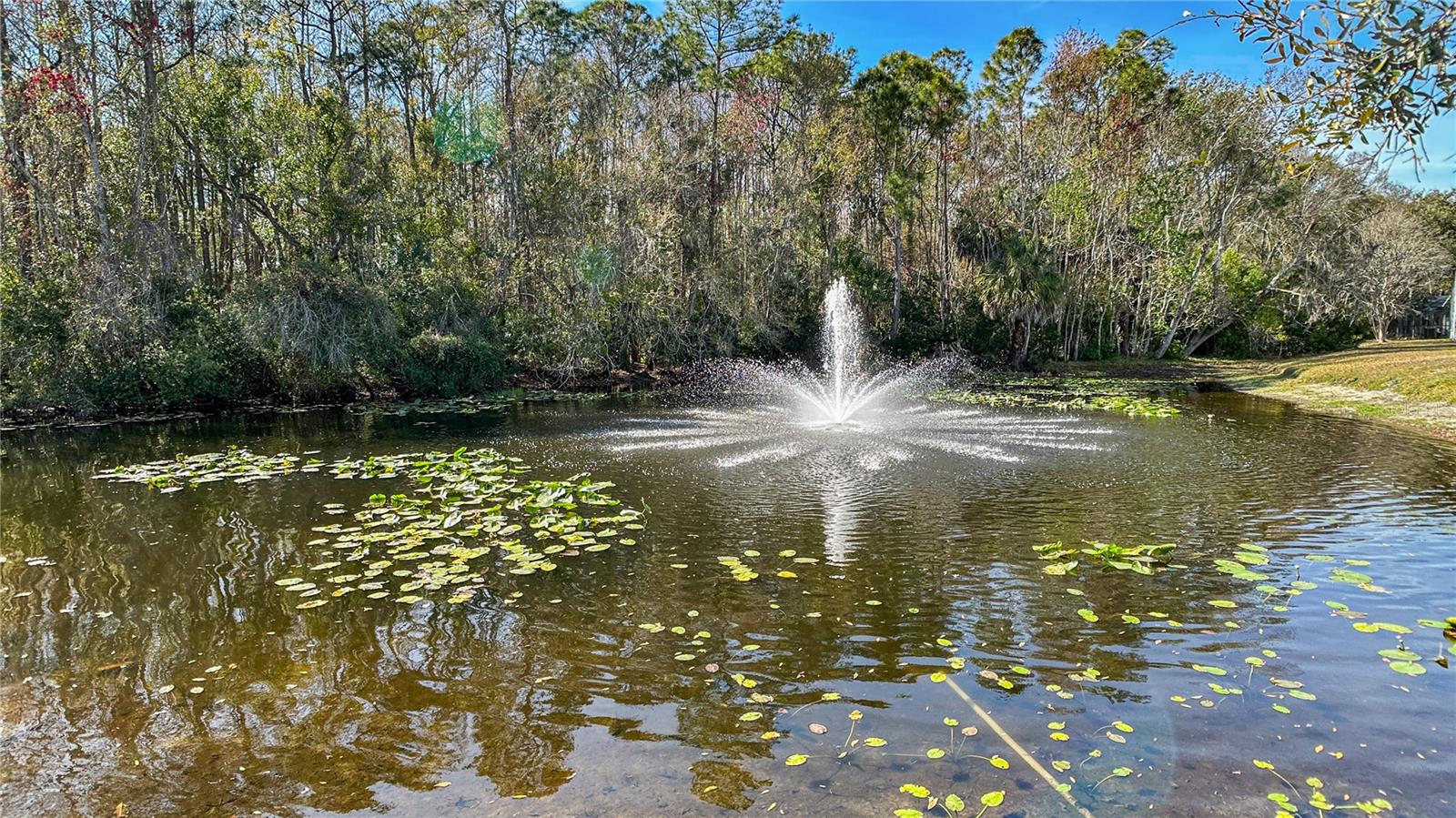 Image 13 of 19 For 9402 Charlesberg Drive