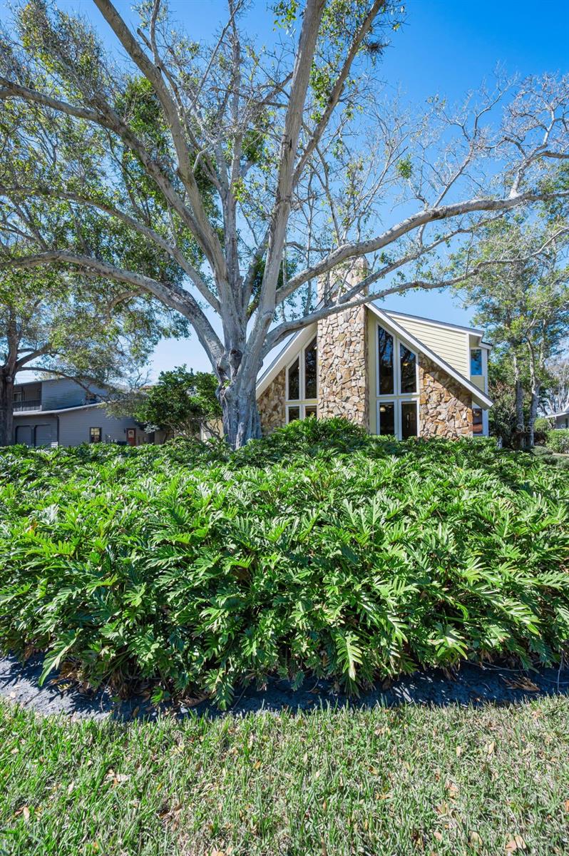 Listing photo id 3 for 1944 Levine Lane