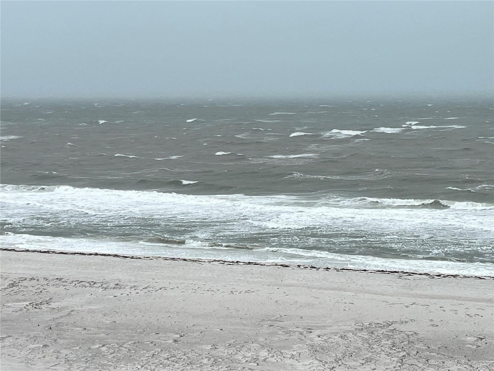 Image 64 of 65 For 661 Poinsettia Avenue 109