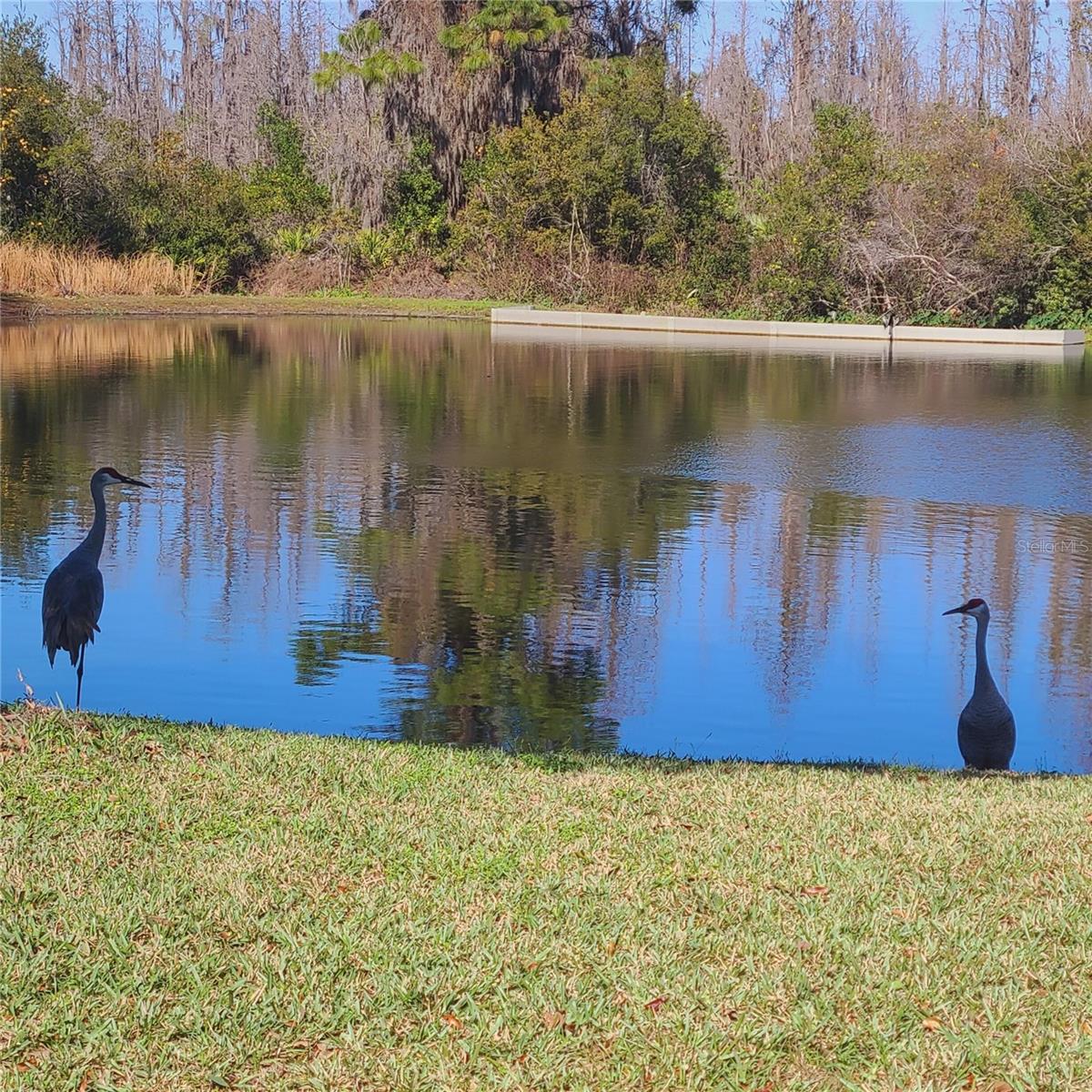 Image 29 of 30 For 4513 Pointe O Woods Drive