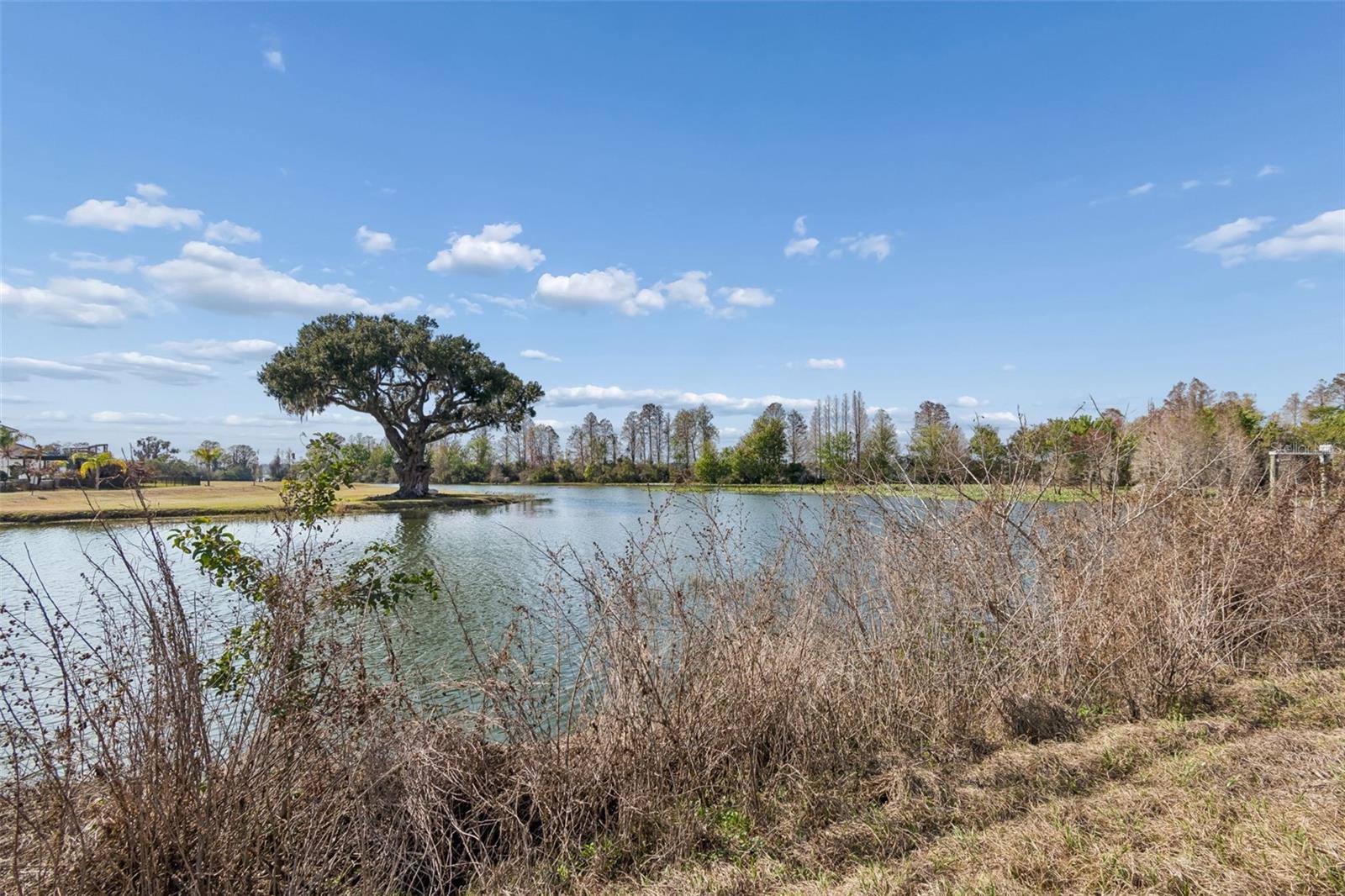 Image 13 of 36 For 10718 Osprey Landing Way