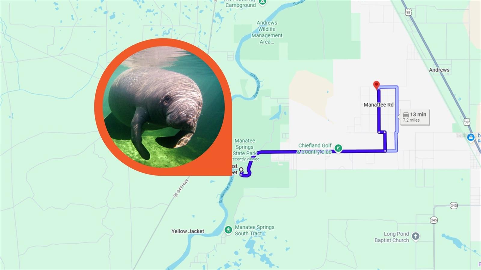 Image 4 of 26 For  85th Avenue 