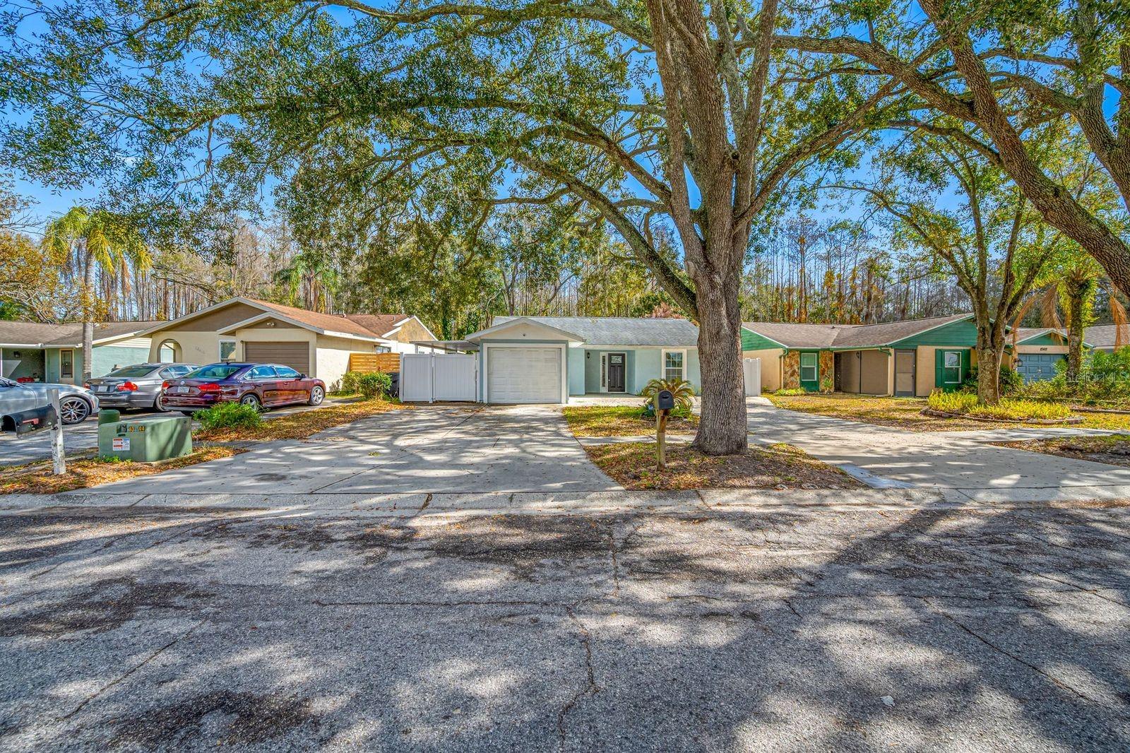 Image 6 of 50 For 12413 Hidden Brook Drive 11