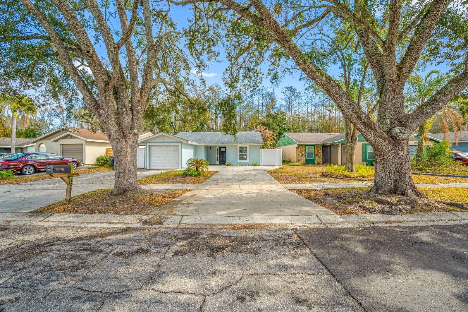 Image 9 of 50 For 12413 Hidden Brook Drive 11