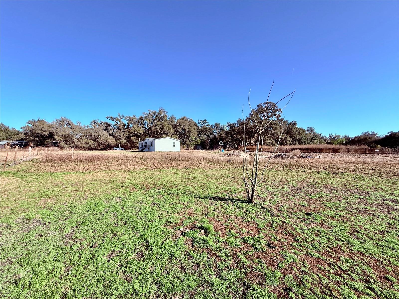 Image 47 of 51 For 37466 Phelps Road