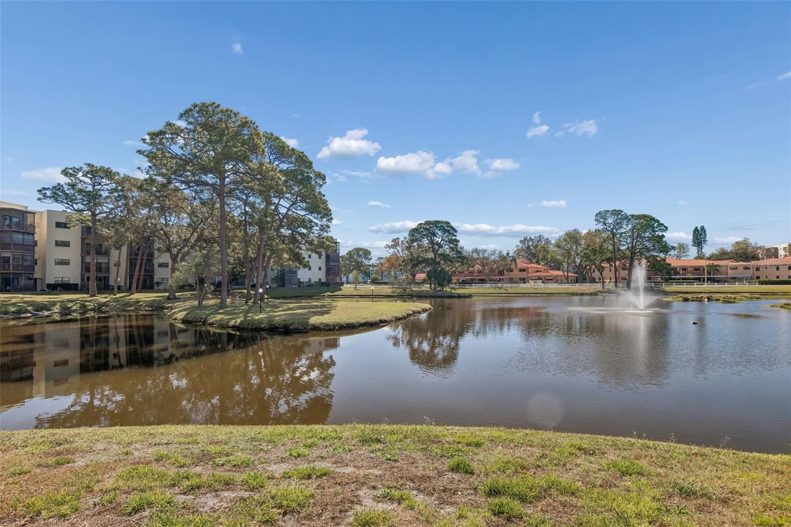 Image 42 of 80 For 8199 Terrace Garden Drive N 114