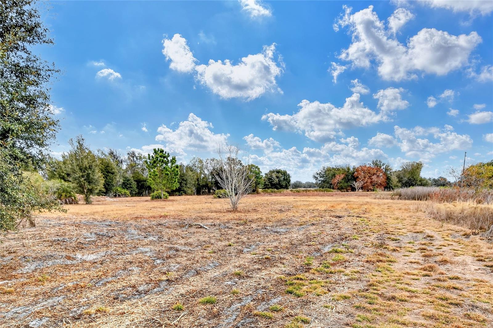 Image 10 of 22 For Lake Buffum Road E