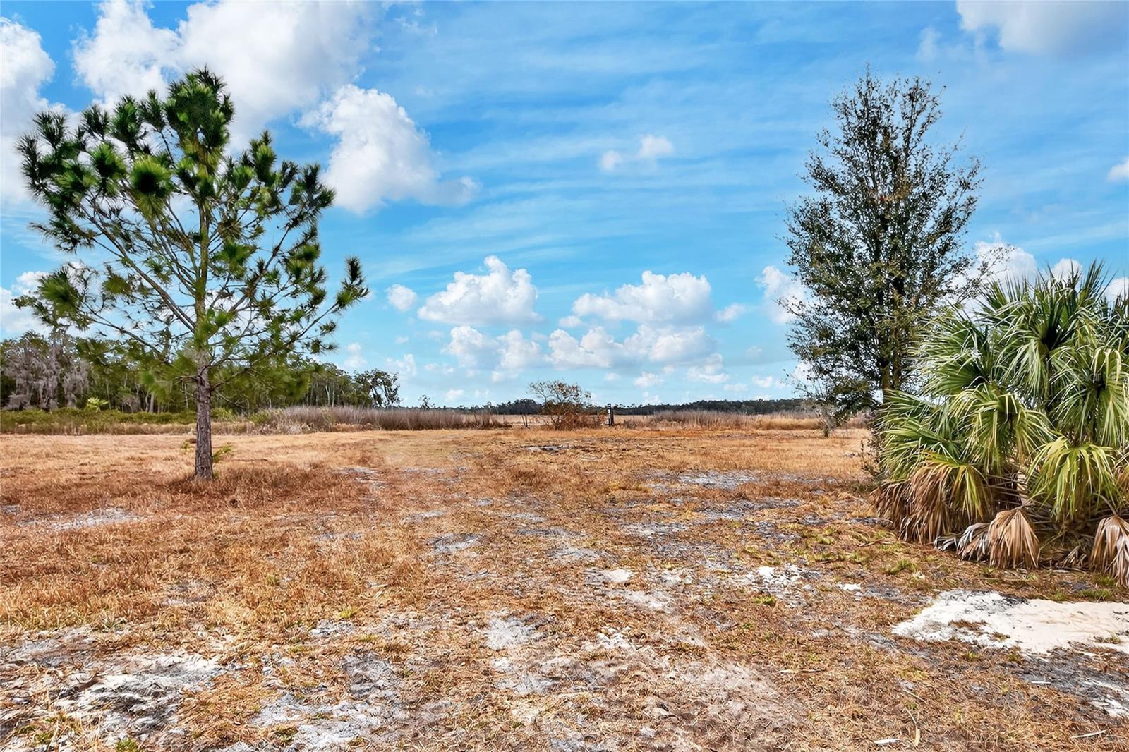 Image 12 of 22 For Lake Buffum Road E