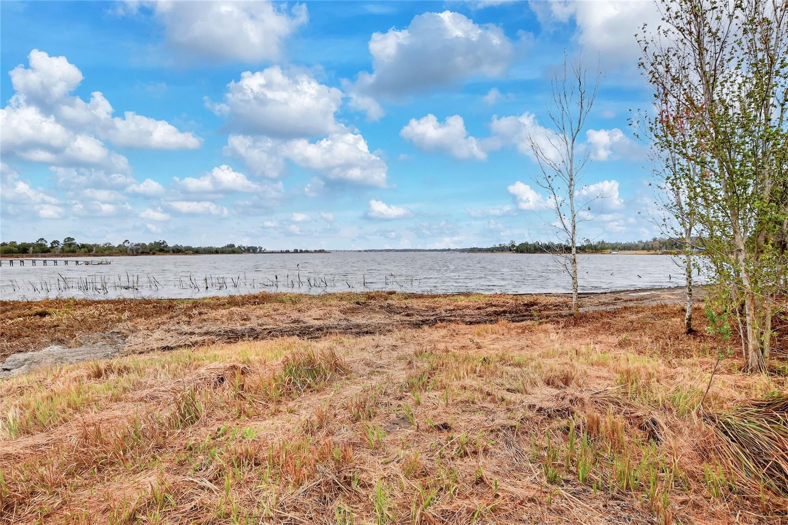 Image 16 of 22 For Lake Buffum Road E