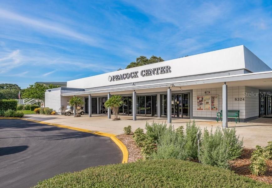 Listing photo id 18 for 11251 80th Avenue 310