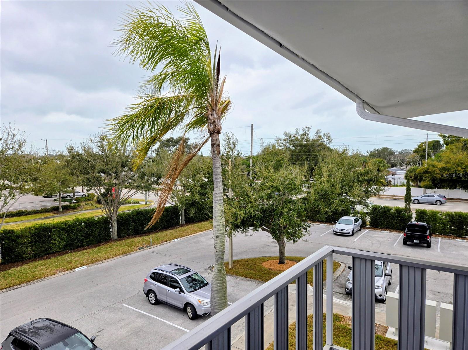 Listing photo id 4 for 11251 80th Avenue 310