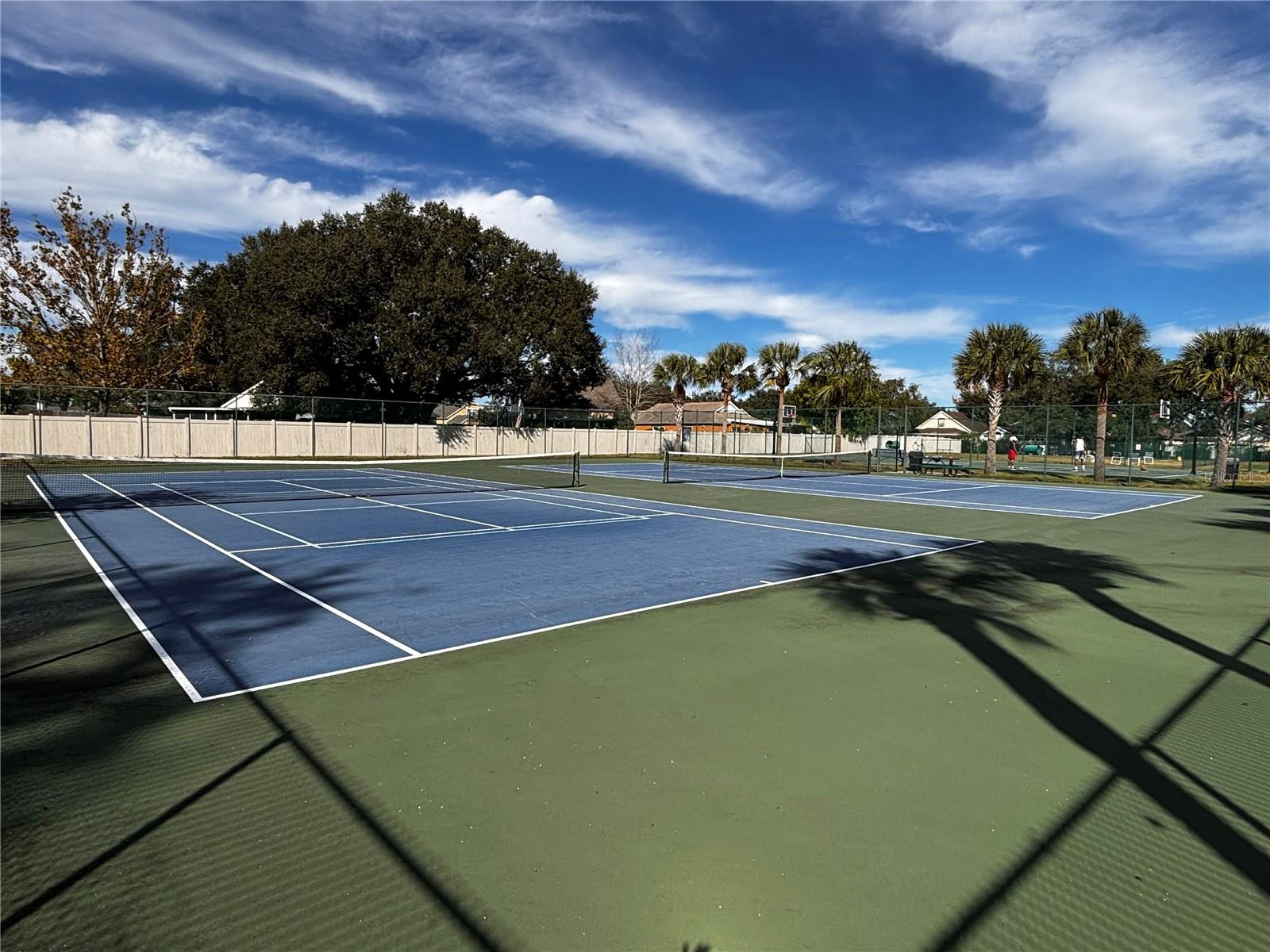 Image 41 of 51 For 603 Sand Ridge Drive