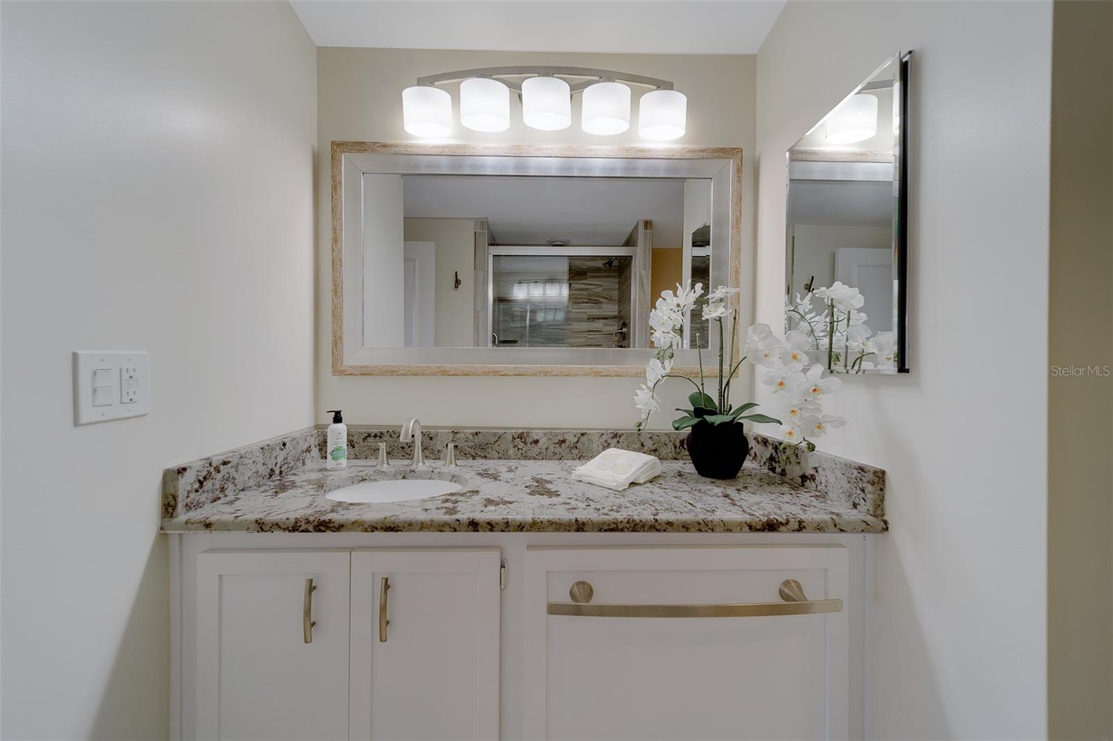 Image 43 of 79 For 8 Belleview Boulevard 308