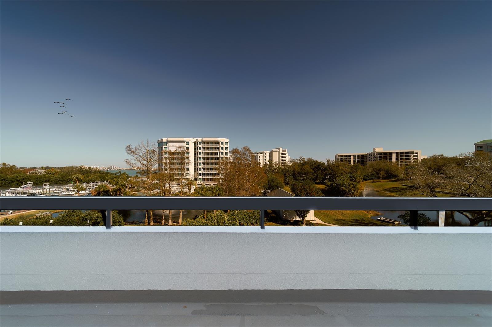 Image 46 of 79 For 8 Belleview Boulevard 308