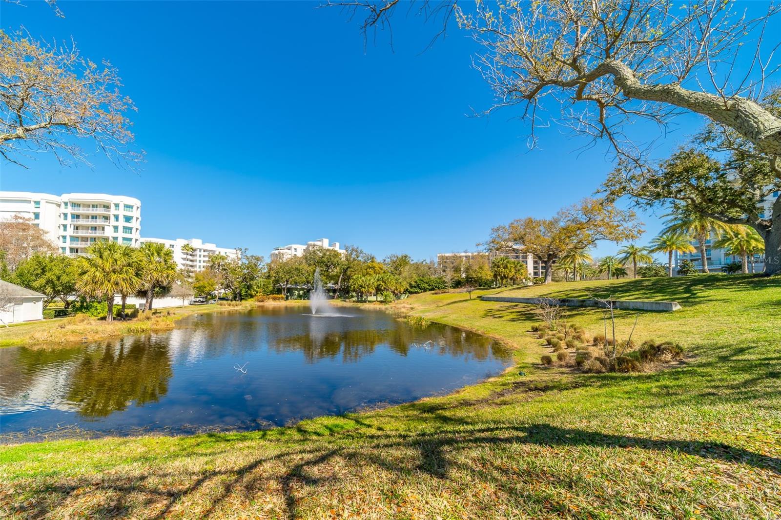 Image 76 of 79 For 8 Belleview Boulevard 308