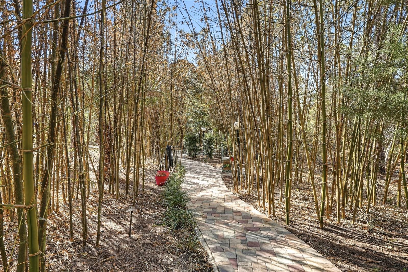 Image 58 of 66 For 296 Quartz Avenue