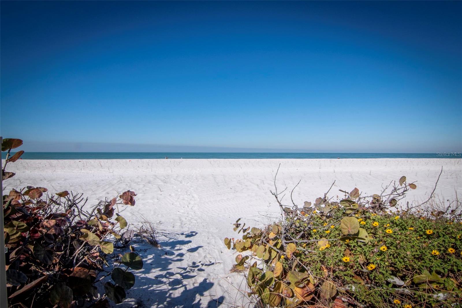 Image 33 of 39 For 2700 Gulf Boulevard W2