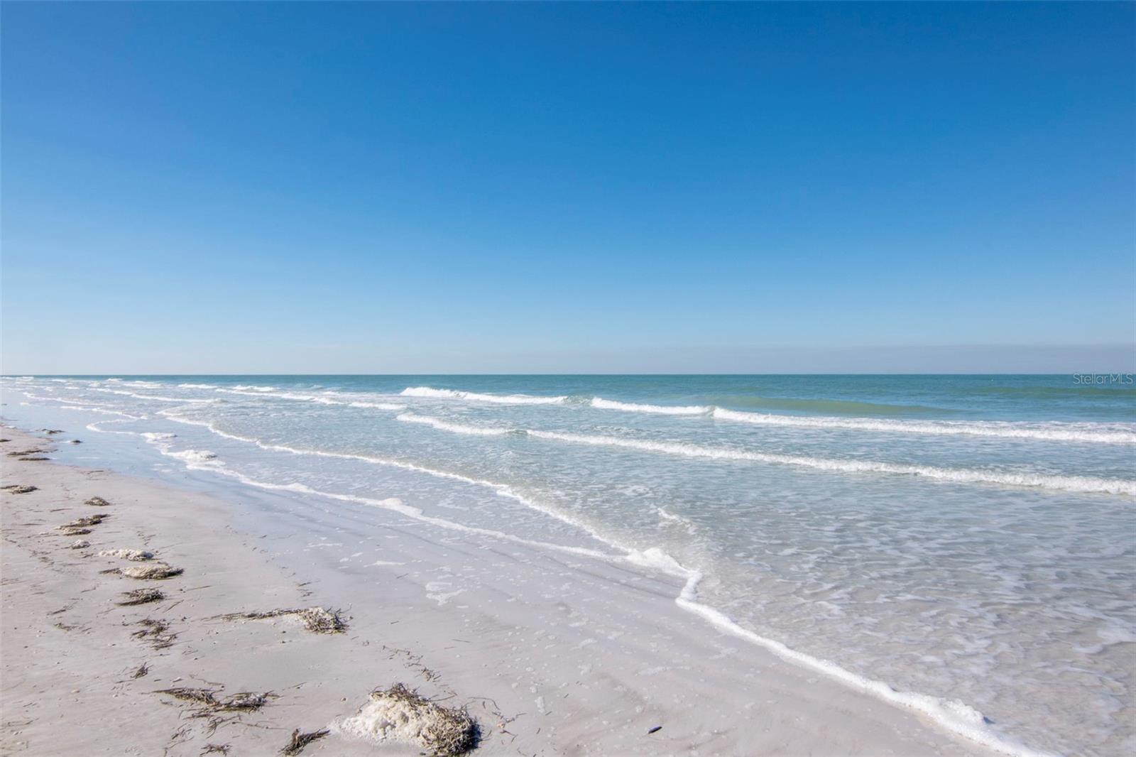 Image 36 of 39 For 2700 Gulf Boulevard W2