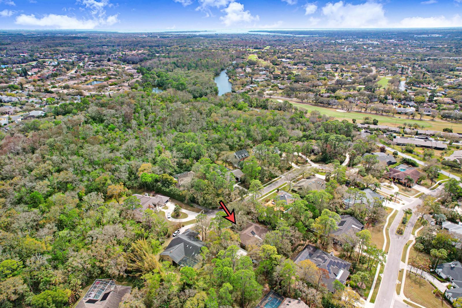 Image 85 of 90 For 110 Woodglen Court