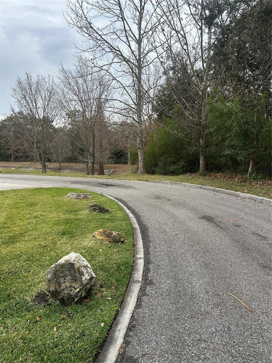 Image 3 of 29 For 8836 Turnstone Shore Lane