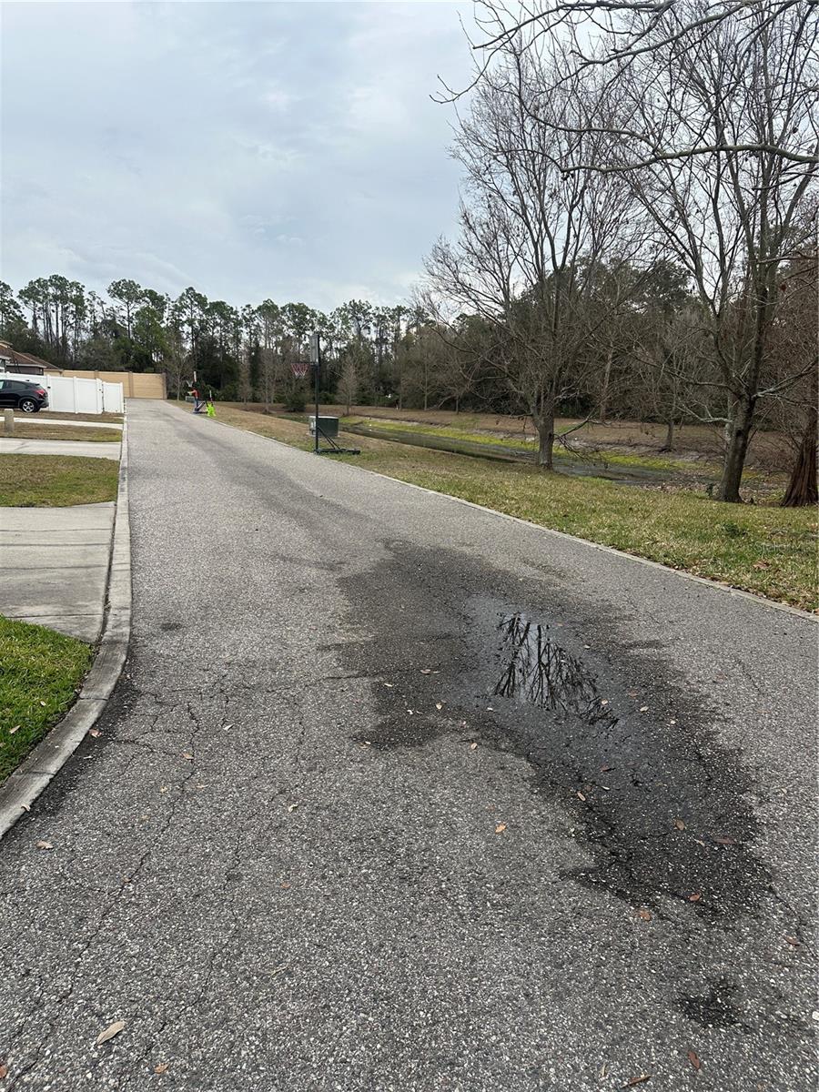 Image 4 of 29 For 8836 Turnstone Shore Lane