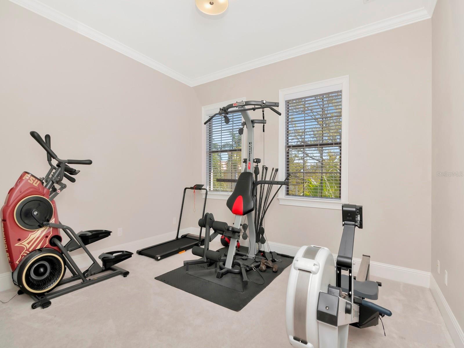 Listing photo id 41 for 150 Chippewa Avenue