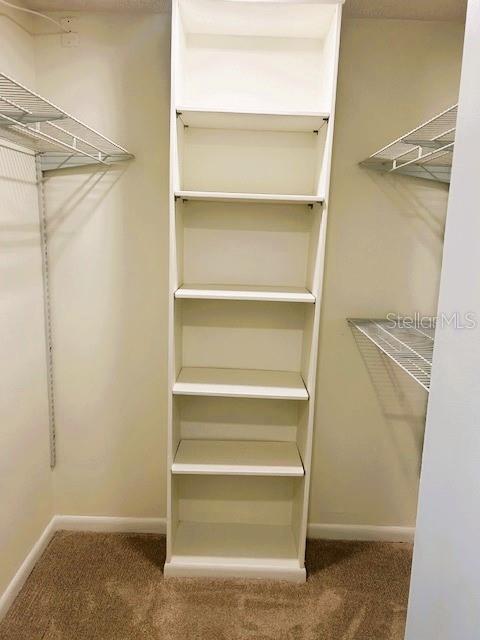 Image 17 of 24 For 2611 Bayshore Boulevard 1805