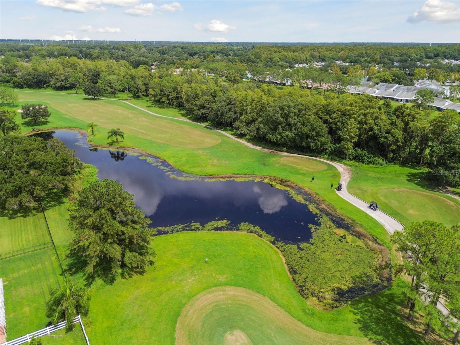 Image 64 of 69 For 4323 Honey Vista Circle